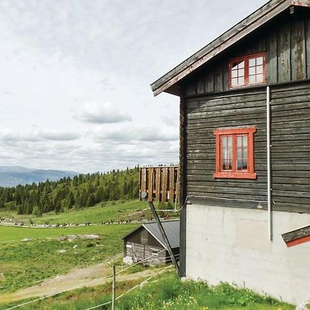 Sulseter Fjellstugu Apartment Vinstra Exterior photo