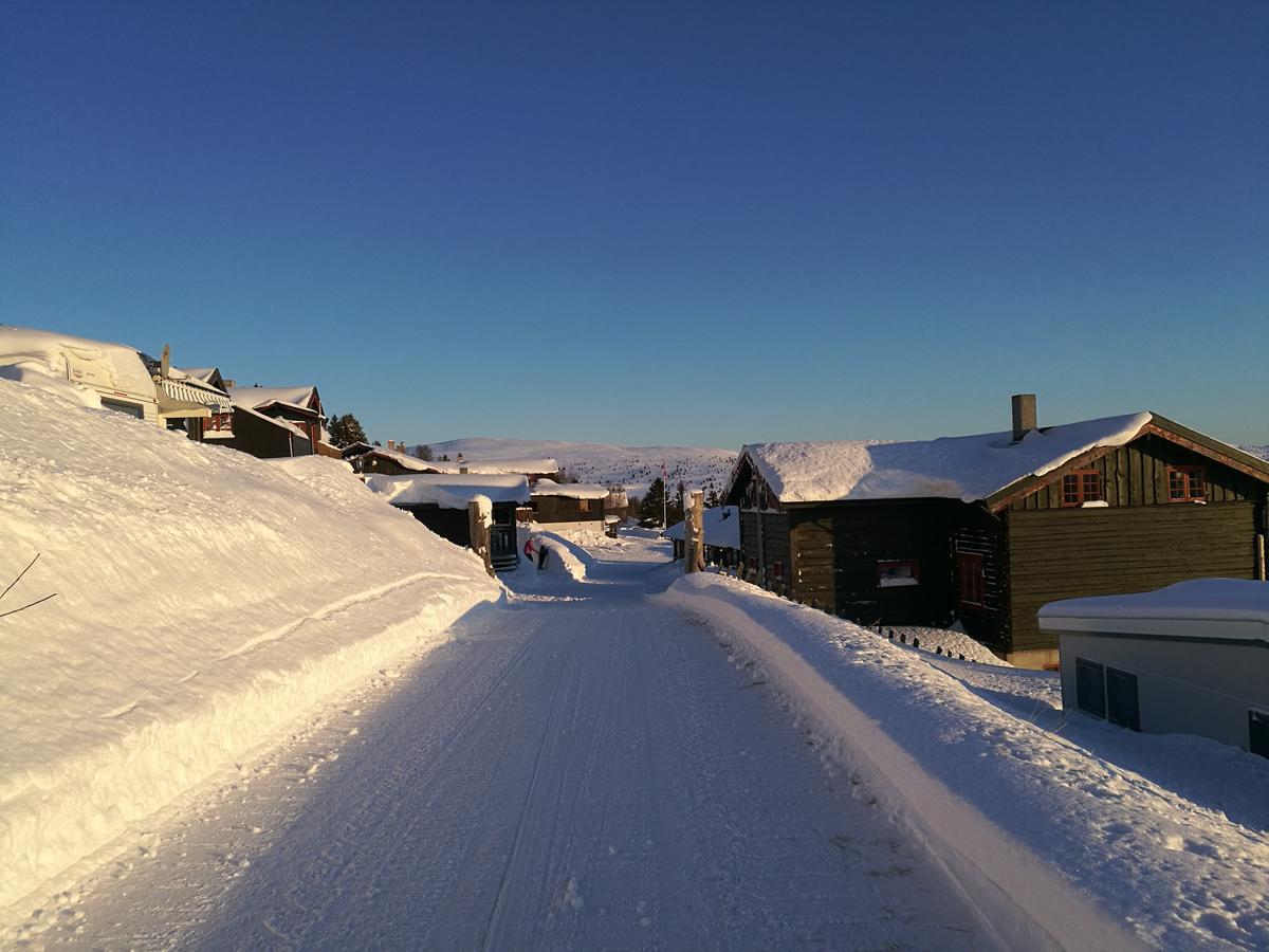 Sulseter Fjellstugu Apartment Vinstra Exterior photo